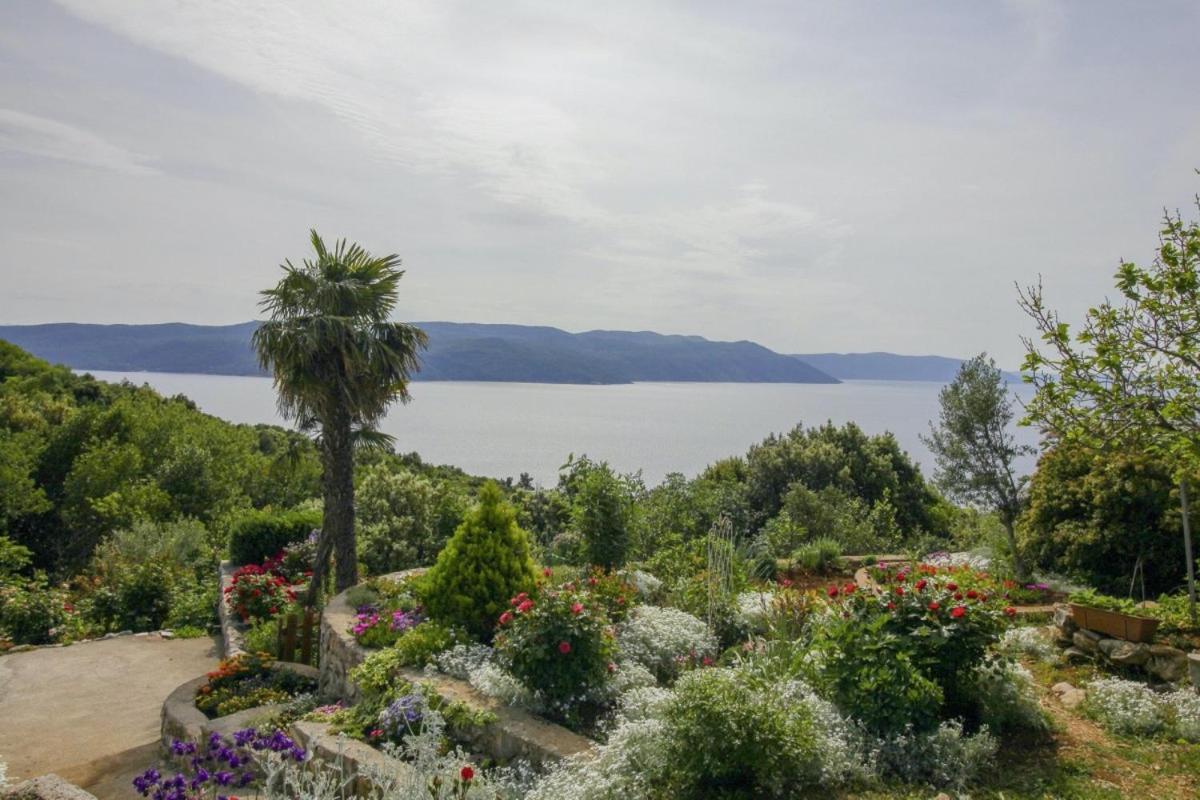 Villa Paradiso In Plomin - Istrien Exteriér fotografie